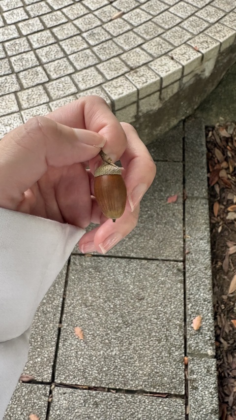 写メ日記の画像