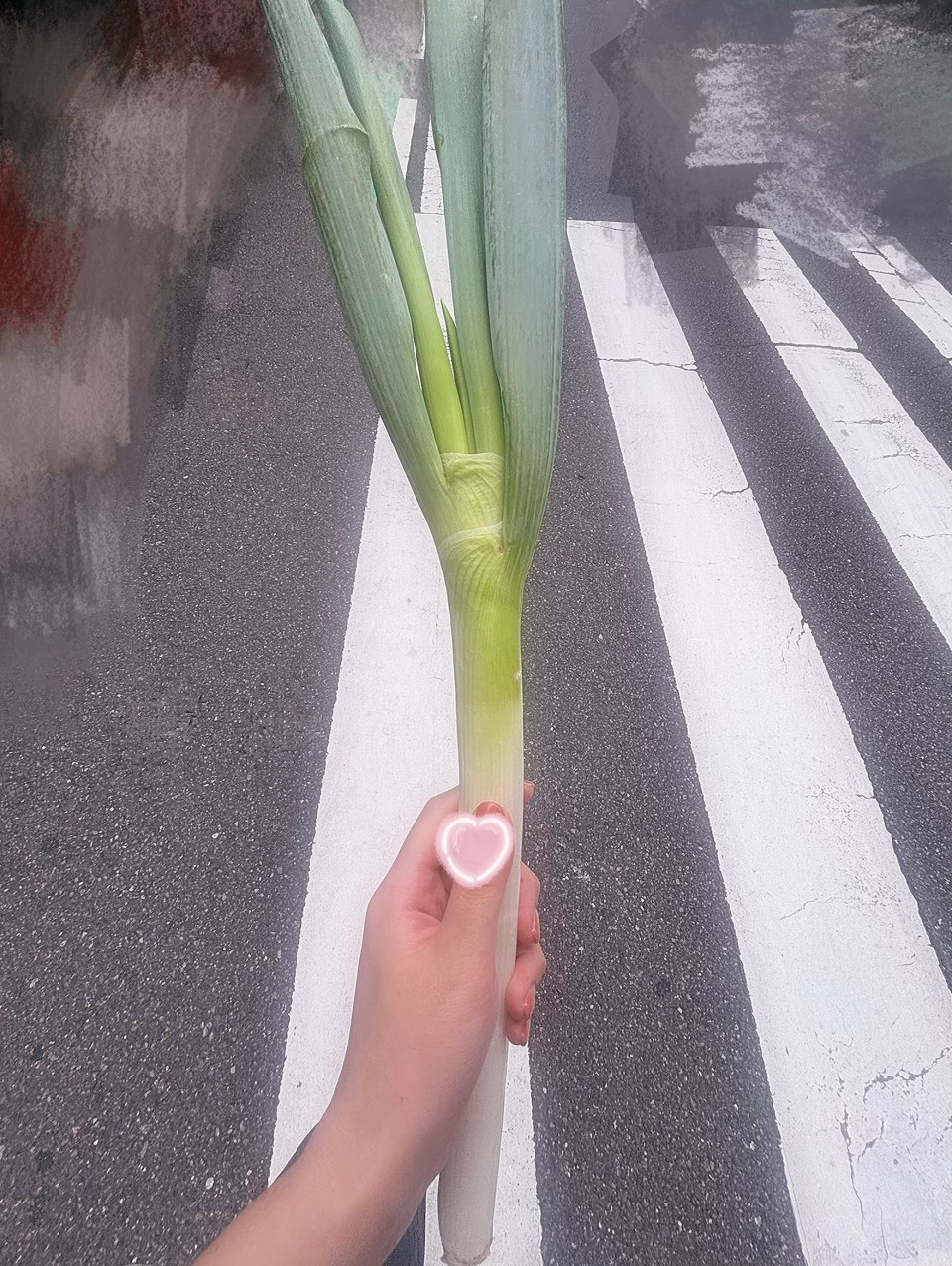 アップロード画像