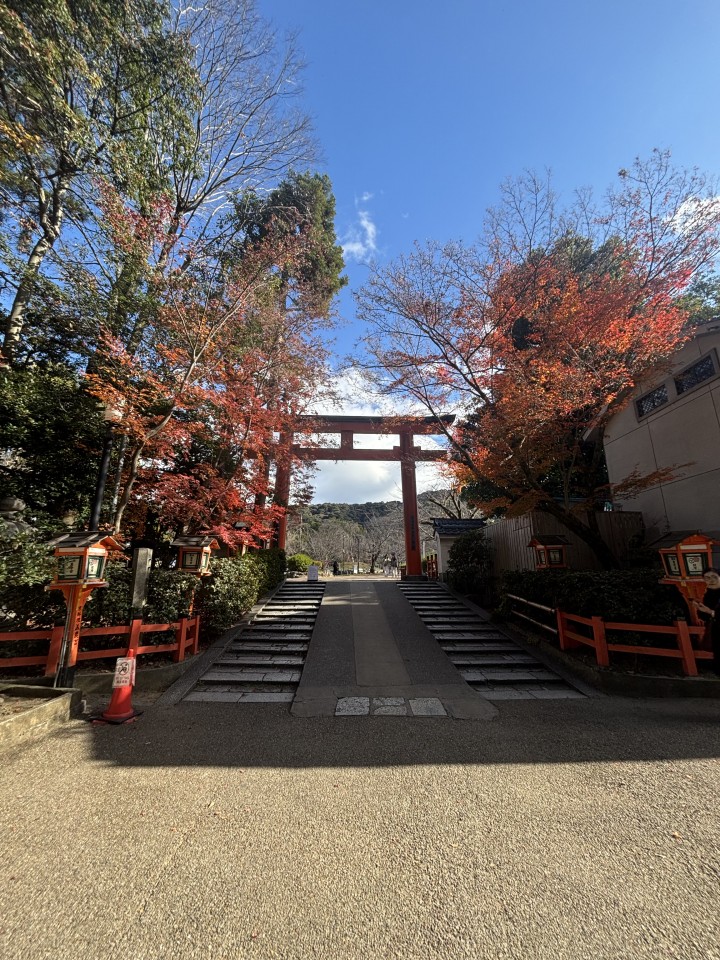 アップロード画像