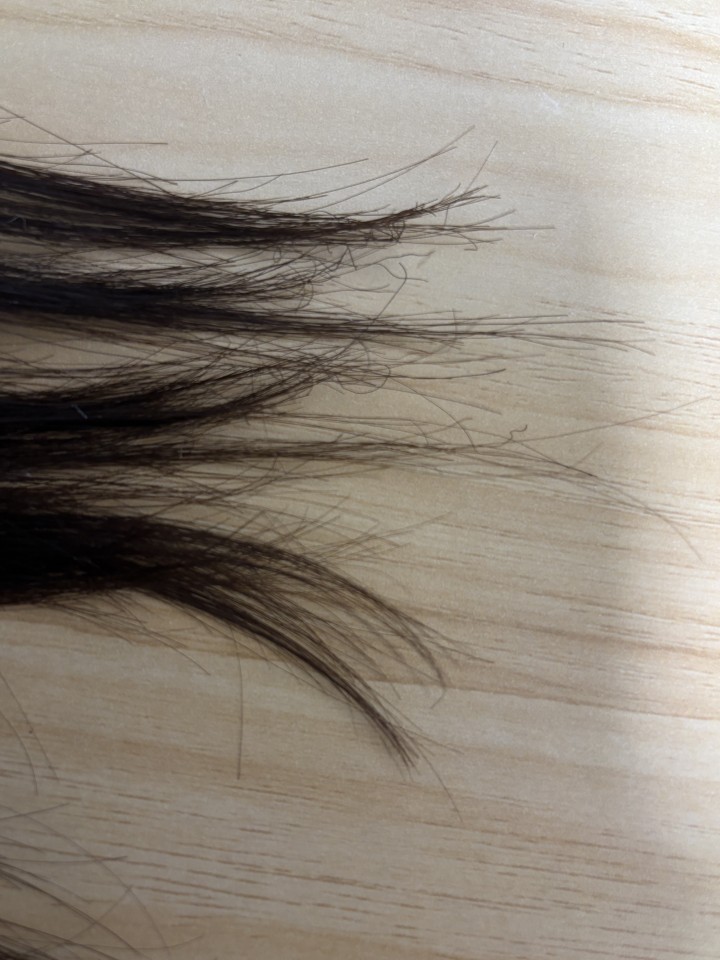 アップロード画像