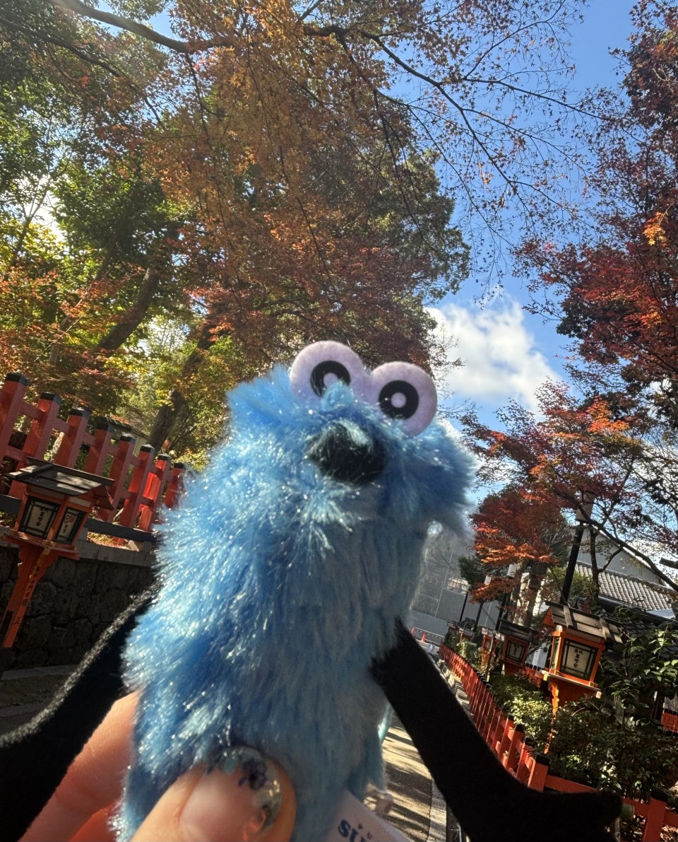 アップロード画像