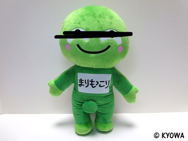 アップロード画像