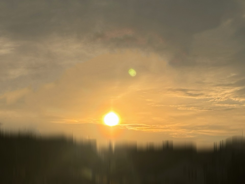 アップロード画像