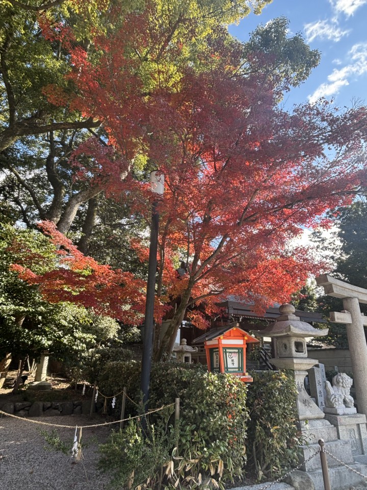 アップロード画像