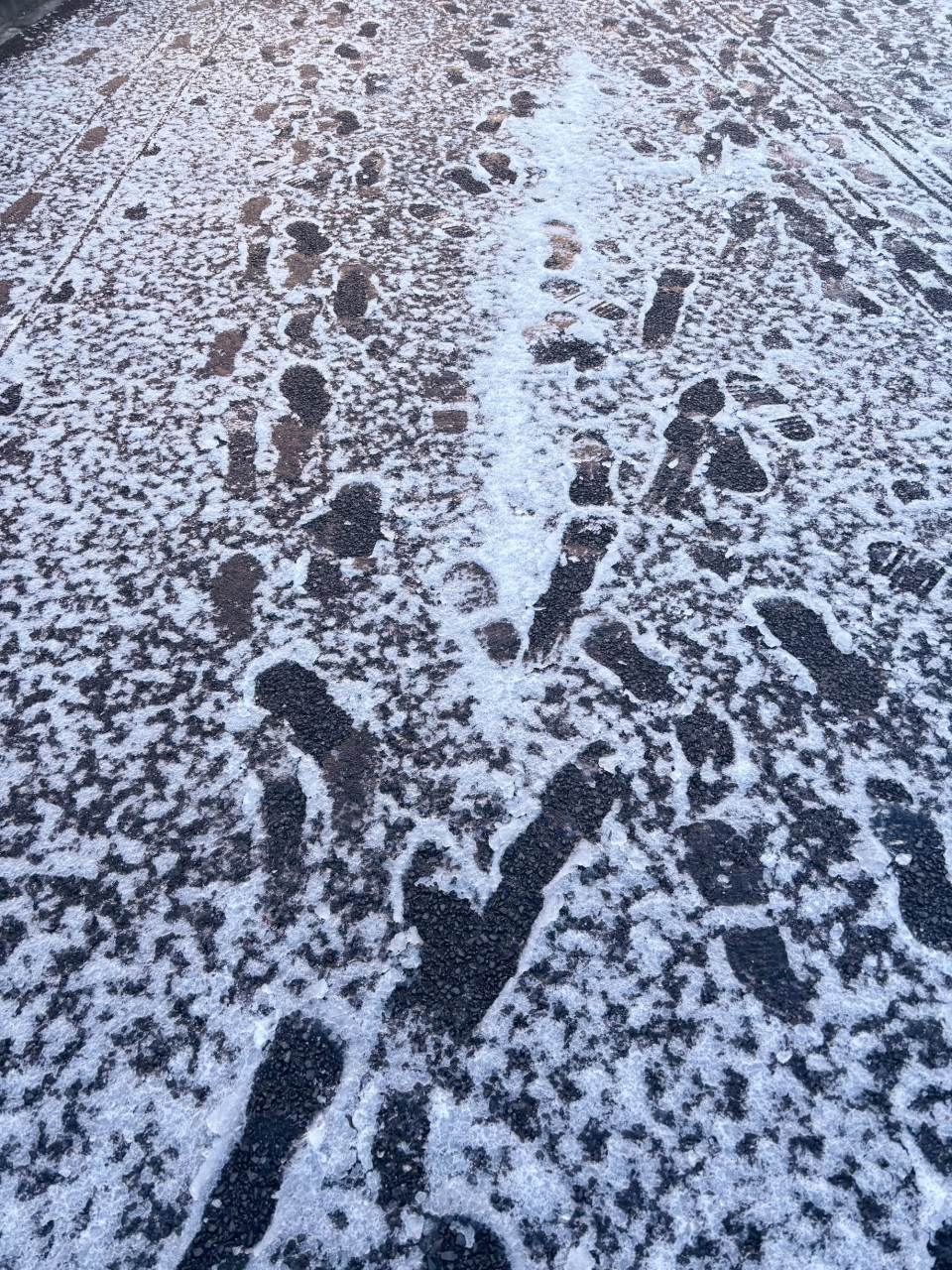 アップロード画像