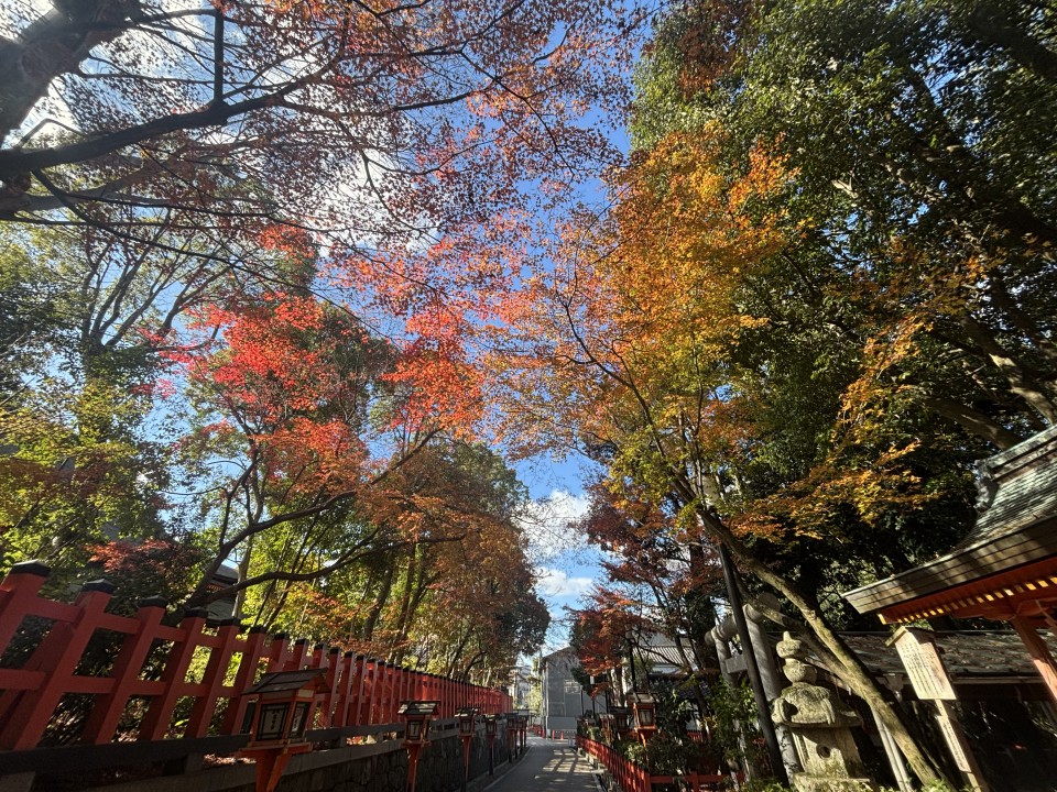 アップロード画像